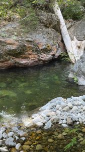 Rocky riverbank with clear green water, a fallen white tree trunk resting against a large rock, and smooth pebbles along the shore.